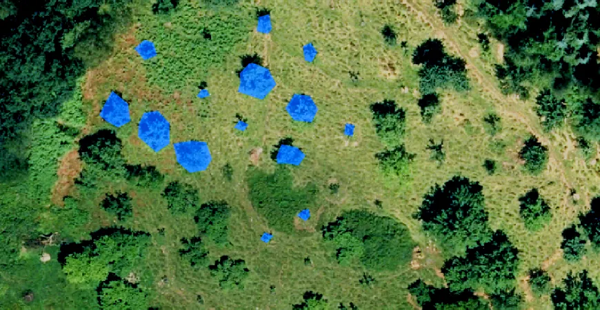 KI-basierte Erkennung von Waldschäden mit Hilfe von Satellitendaten und Luftbildaufnahmen im Rahmen einer von der ESA geförderten Machbarkeitsstudie.